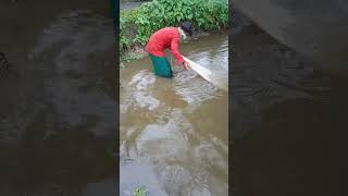 Peran Froto Nibedito Fishing Video shotsfishingvillageboy viralvideo [upl. by Allenod889]