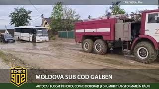 MOLDOVA SUB COD GALBEN [upl. by Fernando]