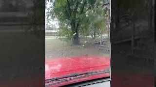 Cae nieve en Cotulla Texas este jueves 7 de diciembre del 2017 [upl. by Ursi35]