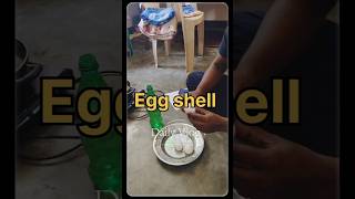 All parts name of egg trending motivation englishबोलनासीखो [upl. by Ybok798]