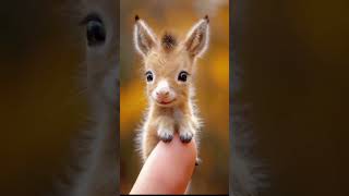 Smallest animals in world 👀🥰 smallestanimals aianimals animalonfinger aivideo lovelyjeet [upl. by Elem]