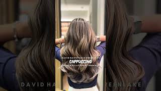 Trend Hair Colors 2024  French Balayage Cappuccino by DHS [upl. by Nisbet]