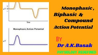 Monophasic Biphasic amp Compound Action Potential  For MBBS BDS and Allied Health Sciences [upl. by Anigal]