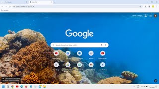 How To Change Google Chrome Theme  Change Chrome Background Theme [upl. by Ashok]