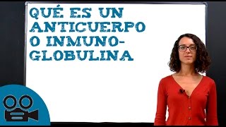 Qué es un anticuerpo o inmunoglobulina [upl. by Yllime]