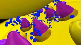 Curare 3D Animation  Nerve Cell Toxins [upl. by Nylteak986]