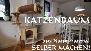 Katzenbaum oder Kratzbaum aus Naturmaterial selber machen [upl. by Dagna]