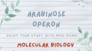 Arabinose Operon  Molecular Biology [upl. by Gilliette83]