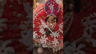 Laddu gopal ji ke aaj k darshan Please likeviral [upl. by Ettenauq276]