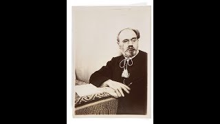 Émile Zola  Au bonheur des Dames Analyse [upl. by Anali573]