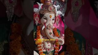 टिटवाळा चा राजा 🚩🚩 ganeshji bappa ganpatibappamorya titwala morya mahadev [upl. by Leinaj]