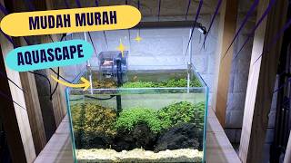 Menanam 3 carpet seed Aquascape Untuk pemula versi murah  iwagumi style iwagumi iwagumistyle [upl. by Duff]