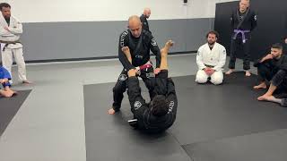 How to Pass the Spider Guard  Master Julio Cesar Pereira [upl. by Allister735]