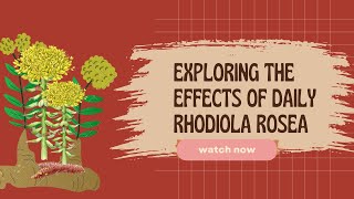 Exploring the Effects of Daily Rhodiola Rosea [upl. by Chickie834]