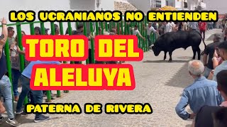 Toros en Paterna de Rivera  La tradición española  Toro del Aleluya [upl. by Griffith]