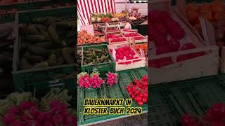 Regionaler BAUERNMARKT in Kloster Buch Mulde in Sachsen  Sommer 2024 [upl. by Haerdna]