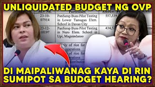 Congw Luistro Inungkat ang Milyunmilyong Pisong Unliquidated Funds ng OVP sa Commission on Audit [upl. by Jasik]