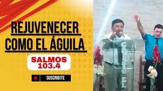 Rejuvenecer como el águila 🦅 Anciano Ernesto Ruiz Diaz 🔹Salmos 1034 [upl. by Ennaeus]