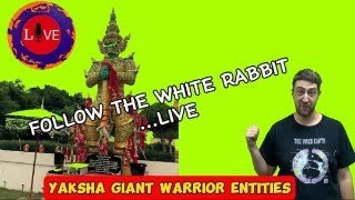 Yaksha Guardian Warrior Entities Live [upl. by Cullin]