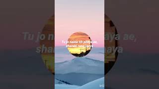 Malang sajna song lyrics 💗subscribe like comment [upl. by Emsmus]