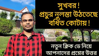 সুখবর  প্রচুর নুলস্তা উঠতেছে বর্ধিত কোটায়  ইতালির ফ্লুসি২০২৩ [upl. by Deyas217]