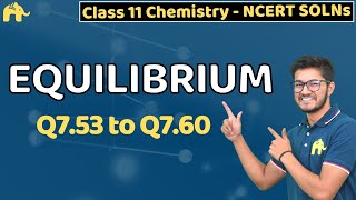 Equilibrium Class 11 Chemistry  Chapter 7 Ncert Solutions Questions 5360 [upl. by Ninazan]