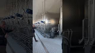 Secondary fermenters for Moscato wine domainehelena canelli [upl. by Agripina]