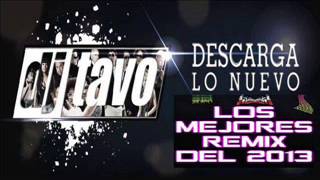 DJ Tavo Bailan rochas y chetas mix 2013 [upl. by Essilem]