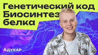 Генетический код  Биосинтез белка  Биология ЦЭ ЦТ [upl. by Liatrice]