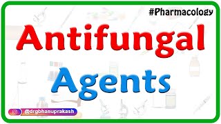 Antifungal agents Pharmacology  Amphotericin B Usmle  Fmge Neet pg [upl. by Egdirdle853]