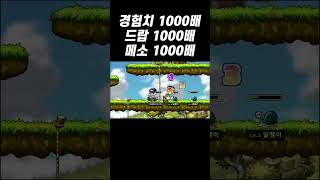 경험치 1000배 옛날메이플 서버 근황 ㅋㅋㅋㅋㅋ [upl. by Anthony]