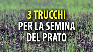 3 Trucchi sulla Semina del Prato [upl. by Asirral230]