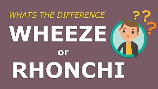 Wheeze or Rhonchi What is the difference Super simple explanation [upl. by Gillman]