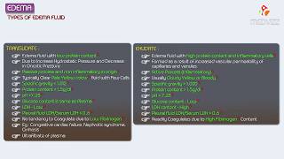 3Edema  Exudate vs Transudate  Hemodynamic pathology Fmge Neet PG and usmle [upl. by Aneeuq]