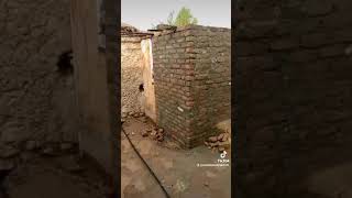 Mohmand agency Ghanam Shah village Mustafa Mohmand house [upl. by Alliuqal265]