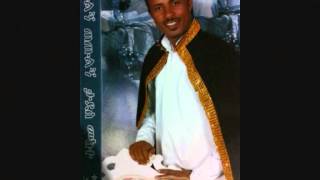 Tadesse Mekete Band presents  New Ethiopian wedding song by Tadesse Mekete  Hagare [upl. by Roos250]