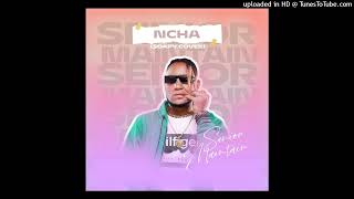 Senior Maintain  NCHA Soapy Cover Official Audio [upl. by Ennaillek519]