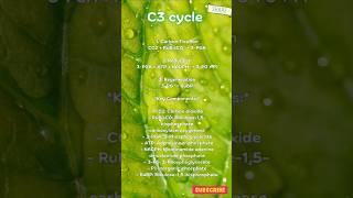 CBB cyclecalvincycle within 30 sec c3cycle [upl. by Brecher471]