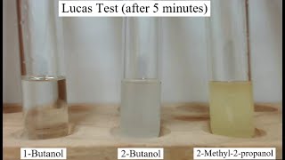 Lucas Test for Alcohols [upl. by Camus]