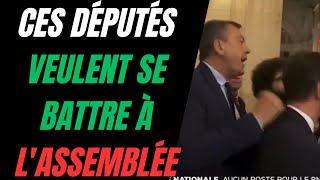 DES DÉPUTÉS RN ET MODEM VEULENT SE CASTAGNER À LASSEMBLÉE [upl. by Wendin]