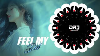 FEEL MY DIL  MY BIRTHDAY SPECIAL  NAUGHTY BASS MIX  DJ RAHUL JSG [upl. by Enahpets]