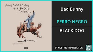 Bad Bunny PERRO NEGRO Lyrics English Translation ft FEID Spanish and English Dual Lyrics [upl. by Aleta]