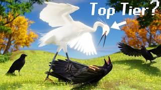 The Bird Tier List [upl. by Alaehcim148]