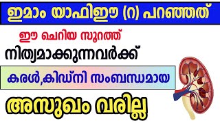 ഈ സൂറത്ത് പതിവായി ഓതുന്നവർക്ക് മാരകമായ അസുഖം വരില്ല surath quraish benefits problems and Solution [upl. by Bari]