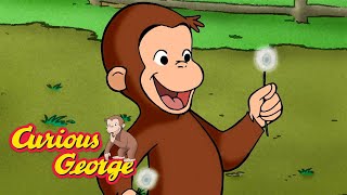 George Plants New Wildflowers 🐵 Curious George 🐵 Kids Cartoon 🐵 Kids Movies [upl. by Lole]