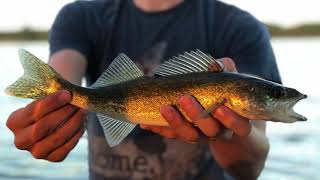 Aquaculture in Ontario Canada [upl. by Attenehs]