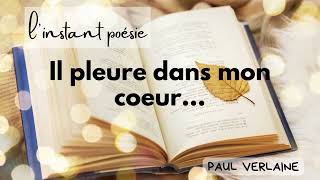 Il pleure dans mon coeur  Paul Verlaine [upl. by Ontine]