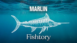 Catching Marlin Everything You Need To Know  Fishtory [upl. by Gordan99]