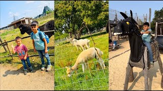 Visit To Hobbledown Heath Adventure Farm Hounslow London UK [upl. by Gratt104]