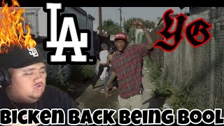 YG  Bicken Back Being Bool Official Music Video Reaction [upl. by Grae690]